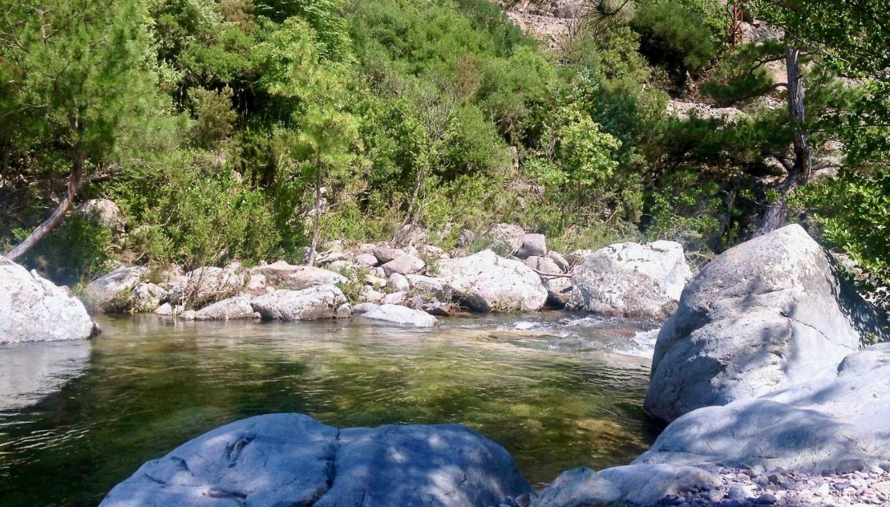 Pietranera studio proche de la mer à 2km de Bastia Ville-di-Pietrabugno Esterno foto